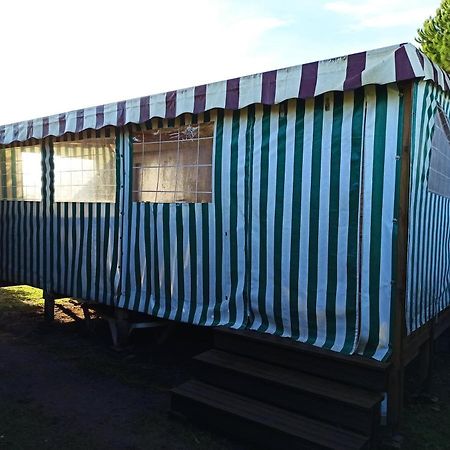Mobilhome 433 La Palmyre Ле Мат Екстериор снимка